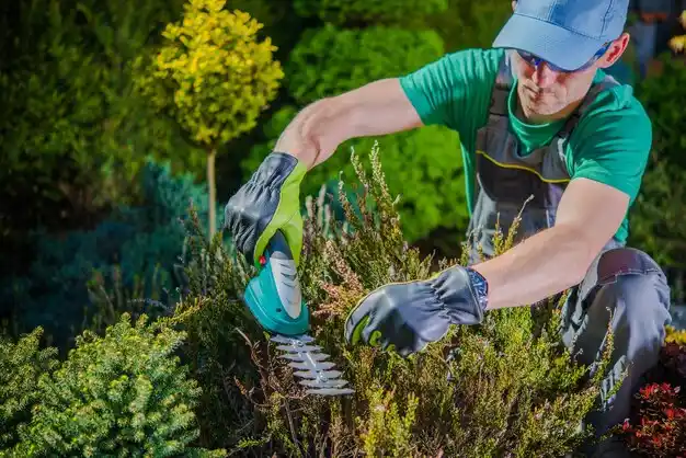 landscaping services Slater